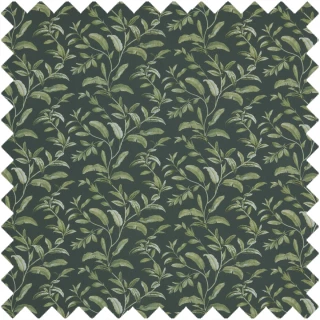 Oasis Fabric BCIA/OASISPIN by iLiv