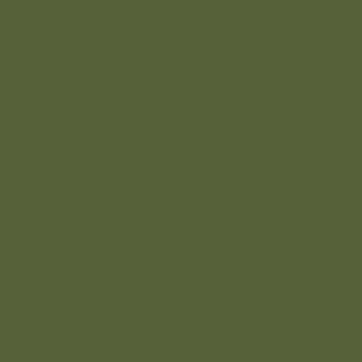 Little Greene Jewel Beetle Absolute Matt Emulsion Paint Zenga Interiors   303 Jewel Beetle 