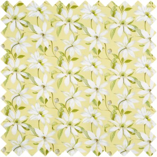 Olivia Fabric 8673/509 by Prestigious Textiles