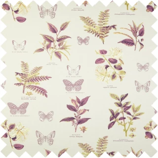 Botany Fabric 5758/284 by Prestigious Textiles