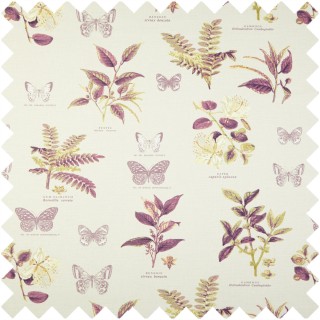 Botany Fabric 5758/284 by Prestigious Textiles