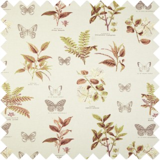 Botany Fabric 5758/418 by Prestigious Textiles