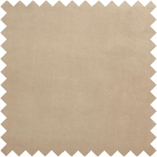Belgravia Fabric 3833/158 by Prestigious Textiles