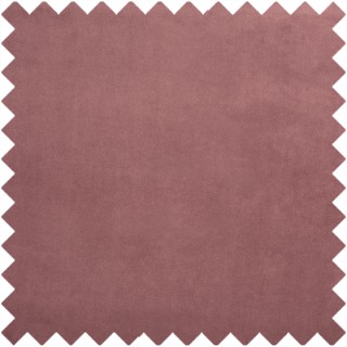 Belgravia Fabric 3833/211 by Prestigious Textiles