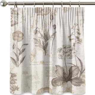 Wild Flower Fabric 5908/077 by Prestigious Textiles