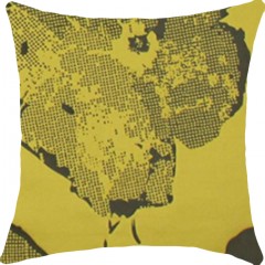 Cushions - Thumbnail