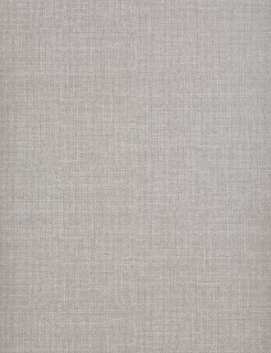 Etch Wallpaper 1676/908 by Prestigious Textiles